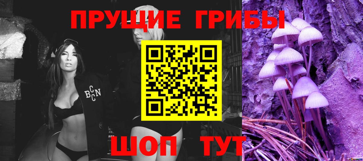 Кириши  Псилоцибиновые грибы мухоморы  Вход с VPN 